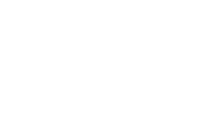 Kůň racing 001 pravá se šachovnicí