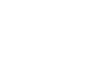 Kůň s kravičkou v srdíčku levá láska ke zvířatům