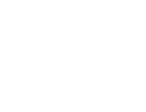 Lady driven diamant