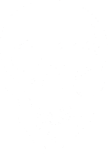 Lebka 040 levá
