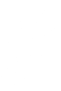 Lebka 041 levá v plamenech