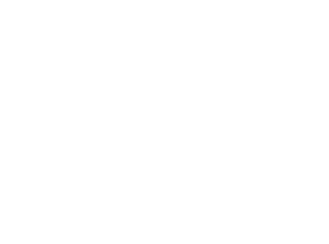 Lední medvěd 003 levá