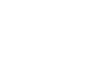 Lední medvěd 003 pravá