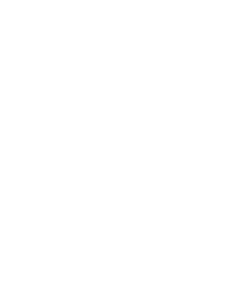 Lední medvěd 004 levá