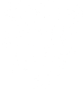 Lev heraldika 001 levá