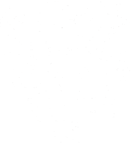 Lev heraldika 001 pravá