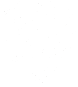 Lev heraldika 001 levá Český lev