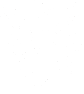 Lev heraldika 001 pravá Český lev