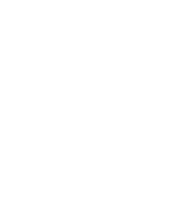Lev heraldika 002 pravá