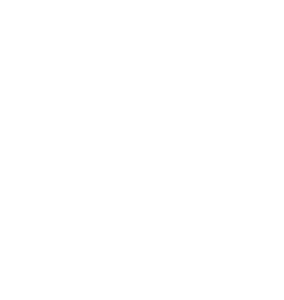 Lev heraldika 003 levá