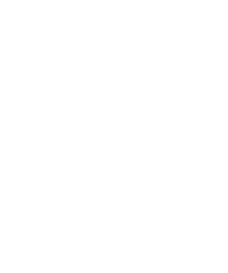 Lev heraldika 005 levá s praporem