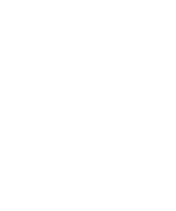 Lev heraldika 005 pravá s praporem
