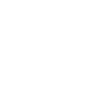 Love hokej