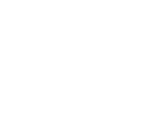 Medvěd 005 pravá