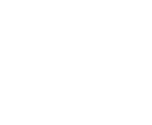 Motýl 006