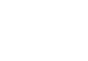 Motýl 008