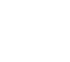 Motýl 009 levá