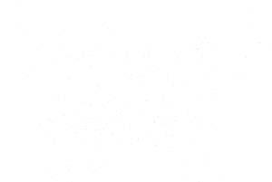 Motýl 012