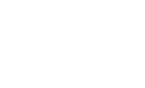 Motýl 013