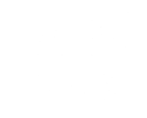 Motýl 014