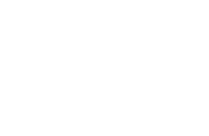 Motýl 015