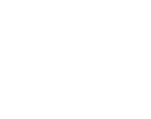 Motýl 018