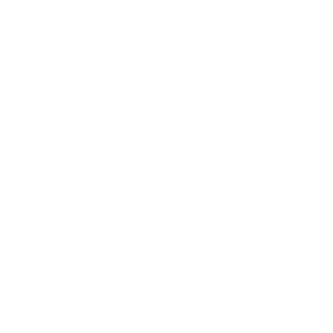 Motýlci 001 levá