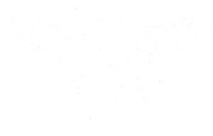 Moucha 005
