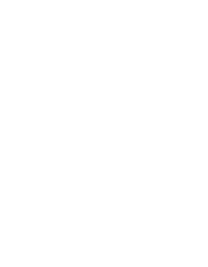 Mozek 001 levá