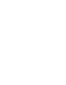 Mozek 001 pravá