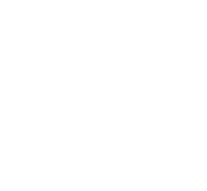 Opice 003  hlava šimpanze