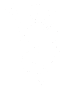 Opice 004 levá lemur na stromě