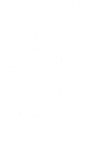 Opice 004 pravá lemur na stromě