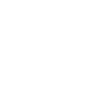 Orel 010 levá hlava