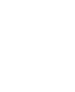 Ostrov 002 levá palmy a moře