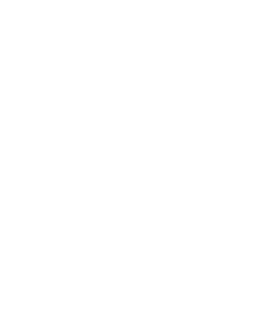 Ostrov 002 pravá palmy a moře
