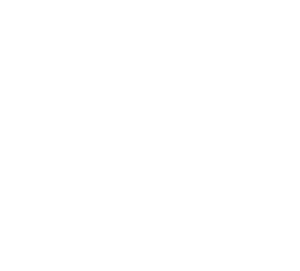 Ovce 001 levá hlava