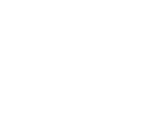 Ovce 002 levá