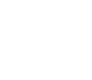 Ovce 002 pravá