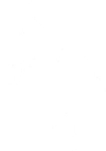 Pan mravenec levá