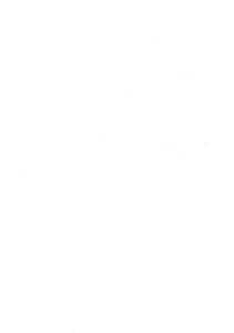 Pan mravenec pravá