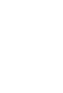 Panda 006 