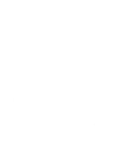 Panda zombie 