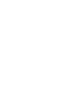 Paní mravencová levá