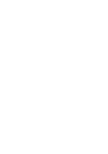 Paní mravencová pravá
