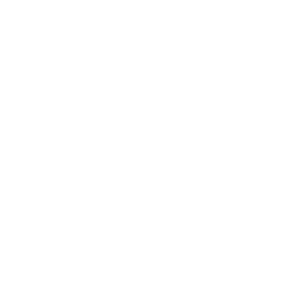 Paul Walker 007 RIP