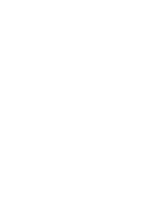 Paul Walker 008 pravá obličej