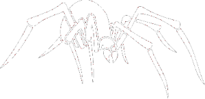 Pavouk 002 - pravá