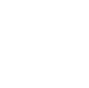 Pavouk 015