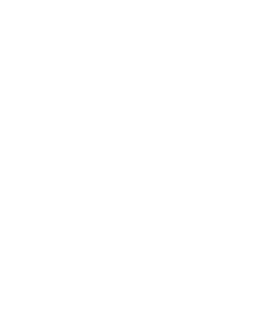 Pavouk 016 pravá s pavučinou